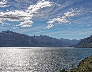 现代森林湖泊风景-ID:782897959