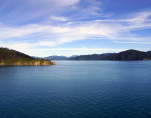 现代森林湖泊风景-ID:330189948