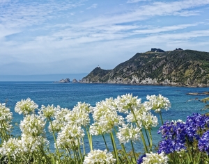 现代森林湖泊风景-ID:186676986
