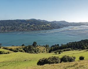现代森林湖泊风景-ID:476730113