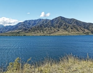 现代森林湖泊风景-ID:6308692