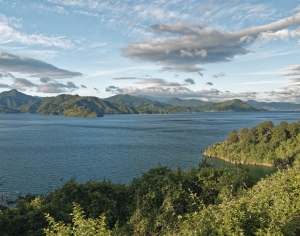 现代森林湖泊风景-ID:175123939
