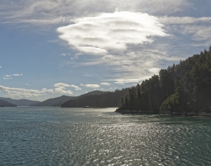 现代森林湖泊风景-ID:515358922