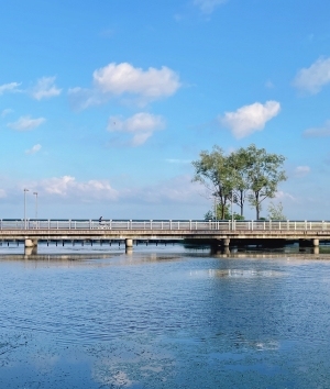 现代公园外景-ID:6309055