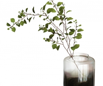 Modern Plant-ID:241952906