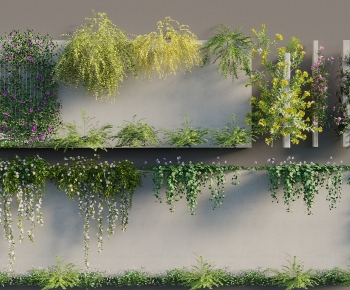 Modern Vine-ID:887403013
