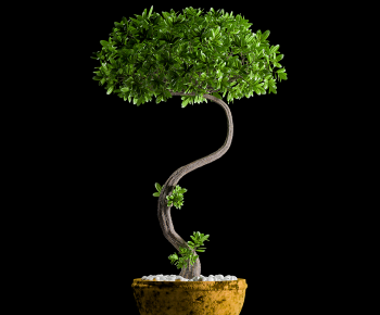 Modern Ground Green Plant Potted Plants-ID:641252043