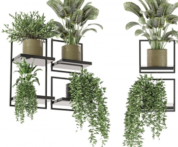 现代壁挂绿植盆栽组合-ID:534467941