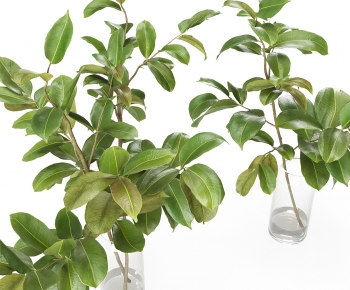 Modern Aquatic Green Plant-ID:989377024