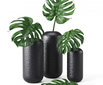 Modern Plant-ID:802833083