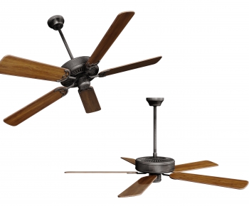 Modern Fan-ID:558988091