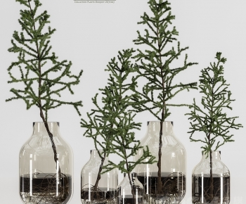 Modern Aquatic Green Plant-ID:194681881