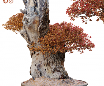 New Chinese Style Bonsai-ID:364520543