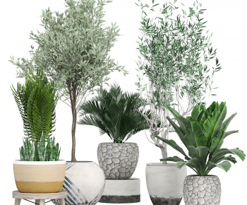 Modern Ground Green Plant Potted Plants-ID:880188947