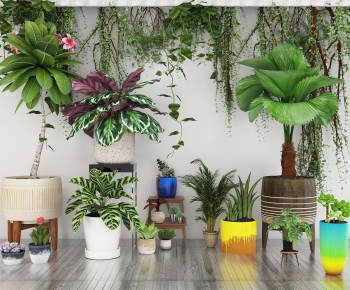 Modern Potted Green Plant-ID:169075018