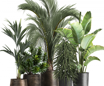 Modern Ground Green Plant Potted Plants-ID:755391158
