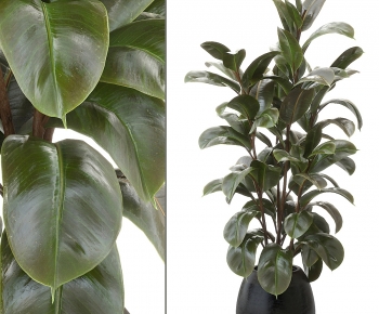 Modern Ground Green Plant Potted Plants-ID:194756984
