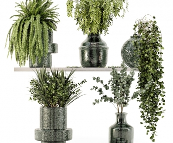 现代绿植盆栽组合-ID:969939954
