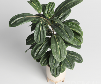 Modern Ground Green Plant Potted Plants-ID:157838116