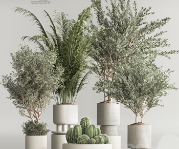Modern Ground Green Plant Potted Plants-ID:332592011