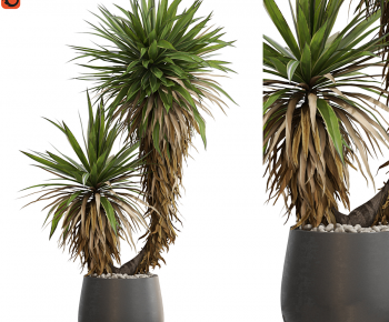 Modern Ground Green Plant Potted Plants-ID:110194926