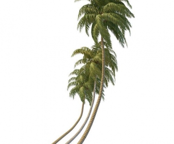 Modern Tree-ID:781898023