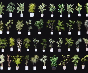 现代落地绿植盆栽组合-ID:809287075