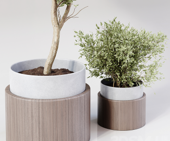 Modern Ground Green Plant Potted Plants-ID:744879249