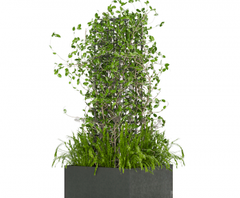 Modern Flower Bed, Flower Bowl, Flower Box-ID:125345951