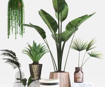 Modern Potted Green Plant-ID:462655073
