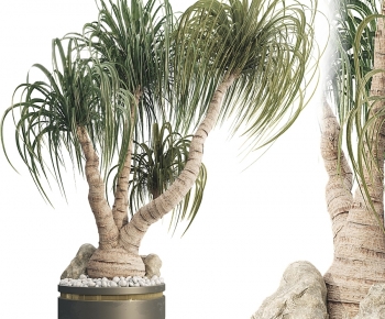 Modern Ground Green Plant Potted Plants-ID:396750934