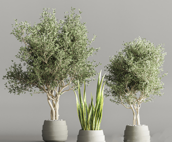 Modern Ground Green Plant Potted Plants-ID:674180983