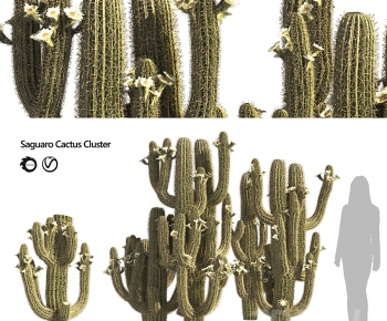 Modern Plant-ID:596518048