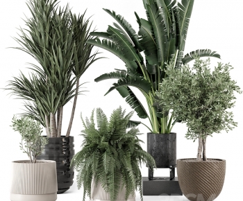 Modern Ground Green Plant Potted Plants-ID:935460096