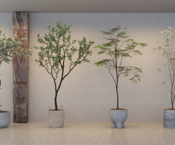 Modern Ground Green Plant Potted Plants-ID:237739197