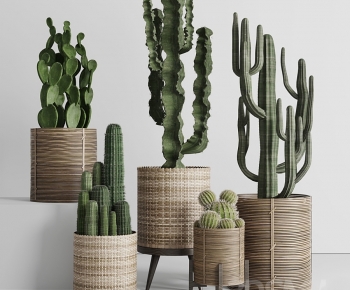 Modern Ground Green Plant Potted Plants-ID:701592927