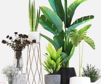 Modern Potted Green Plant-ID:266351944