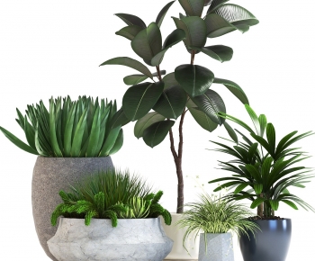 Modern Potted Green Plant-ID:110404971