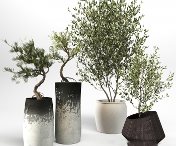 Modern Ground Green Plant Potted Plants-ID:571522002