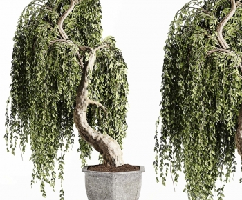 Modern Ground Green Plant Potted Plants-ID:951442961