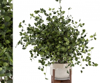 Modern Ground Green Plant Potted Plants-ID:514049537