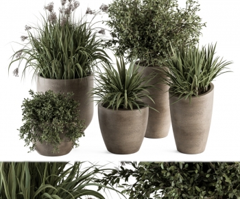 Modern Ground Green Plant Potted Plants-ID:200618032