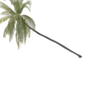 Modern Tree-ID:881650926