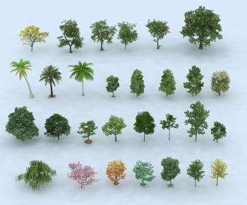 Modern Tree-ID:986716996