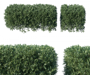 Modern Shrubbery-ID:930927044