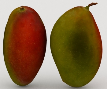 Modern Fruit-ID:690396077