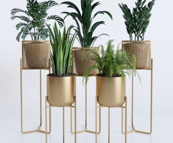 Modern Potted Green Plant-ID:701057914