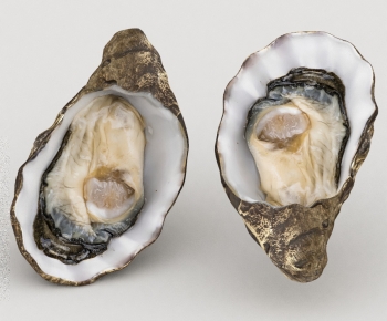 Modern Aquatic Product-ID:592592951