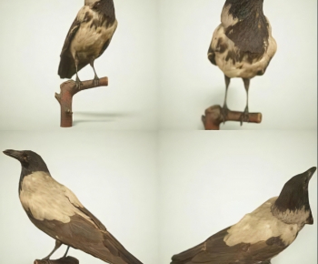 Modern Flying Animals-ID:772315985