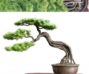 新中式迎客松盆景-ID:580589062